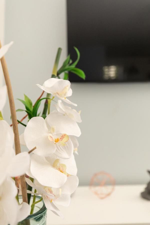 Charme Cosy Confort - Thermes Apartman Vichy Kültér fotó